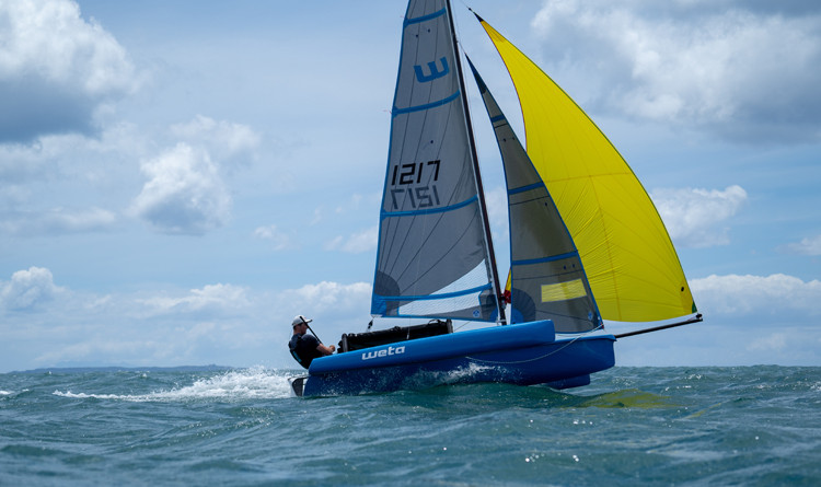 Weta trimaran clearance